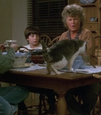 Filename=Journey_0329.jpg
Filesize=205KiB
Dimensions=1920x1080
Date added=Jul 30, 2018 Journey_0329.jpg