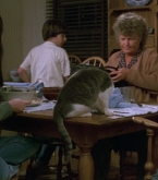 Filename=Journey_0330.jpg
Filesize=219KiB
Dimensions=1920x1080
Date added=Jul 30, 2018 Journey_0330.jpg