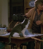 Filename=Journey_0332.jpg
Filesize=209KiB
Dimensions=1920x1080
Date added=Jul 30, 2018 Journey_0332.jpg