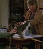 Filename=Journey_0333.jpg
Filesize=218KiB
Dimensions=1920x1080
Date added=Jul 30, 2018 Journey_0333.jpg