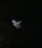 Filename=thatnight_0780.jpg
Filesize=162KiB
Dimensions=1920x1040
Date added=Dec 29, 2025 thatnight_0780.jpg