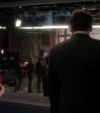 bull1x22_0111.jpg