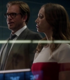 bull1x22_0114.jpg