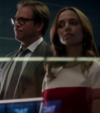 bull1x22_0117.jpg