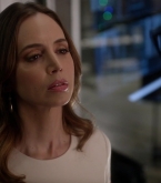 bull1x22_0129.jpg
