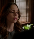 bull1x22_0243.jpg