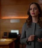 bull1x22_0247.jpg