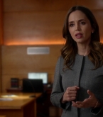 bull1x22_0248.jpg