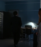 bull1x22_0281.jpg