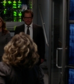 bull1x22_0282.jpg