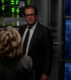 bull1x22_0284.jpg