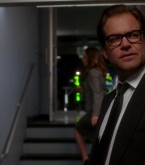 bull1x22_0304.jpg