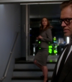 bull1x22_0306.jpg