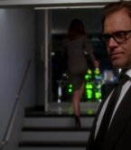 bull1x22_0307.jpg