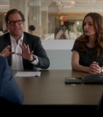 bull1x22_0311.jpg