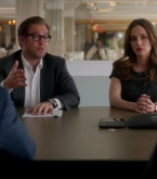 bull1x22_0312.jpg