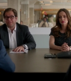 bull1x22_0314.jpg