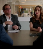 bull1x22_0323.jpg