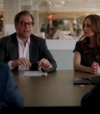 bull1x22_0327.jpg