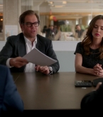 bull1x22_0328.jpg