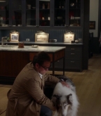 bull1x22_0345.jpg