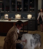 bull1x22_0346.jpg