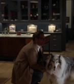bull1x22_0348.jpg