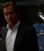 bull1x21_0221.jpg