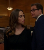 bull1x23_0172.jpg
