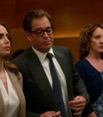 bull1x23_0266.jpg