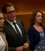 bull1x23_0267.jpg