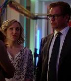 bull1x23_0312.jpg
