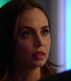 bull1x23_0318.jpg