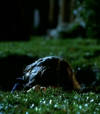 btvs4x15_0047.jpg