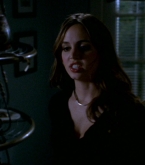 btvs7x20_0057.jpg